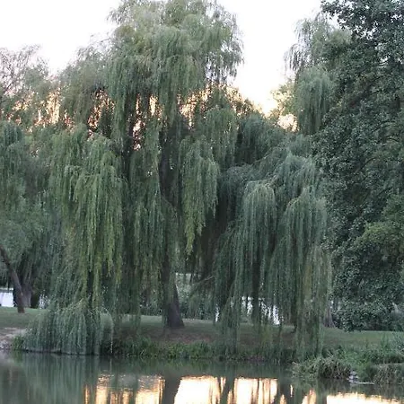 Korona Szallo Otel Kanije