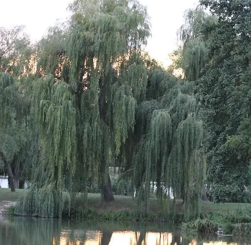 Korona Szallo Hotell Nagykanizsa